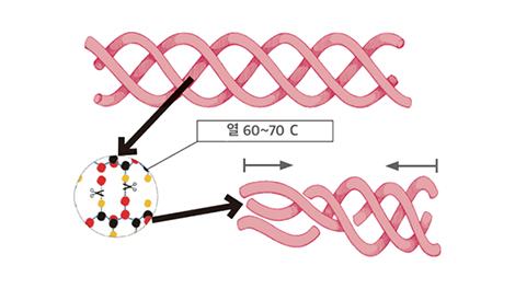 잡티,기미,색소 레이저